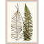 Elevated Undergrowth 3 Print by Art House Studios-1160836877