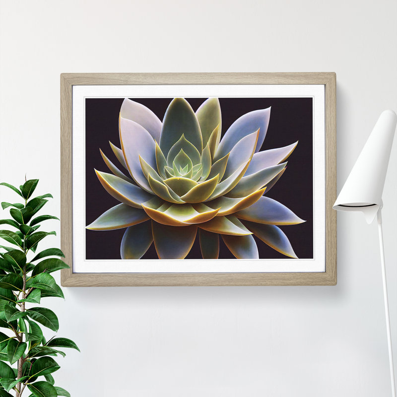 Compelling Succulent Plant - Framed Print, 46cm H x 64cm W x 2cm D, Oak