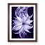 Striking Flower - Wall Art-1806704837-1806704843