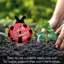 Piquet de jardin en forme de coccinelle Highland Home Luck Blooms