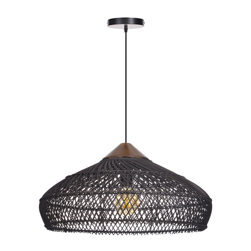Luminaire suspendu 1 lumière noir, H 9,84 po x l 19,69 po x P 19,69 po