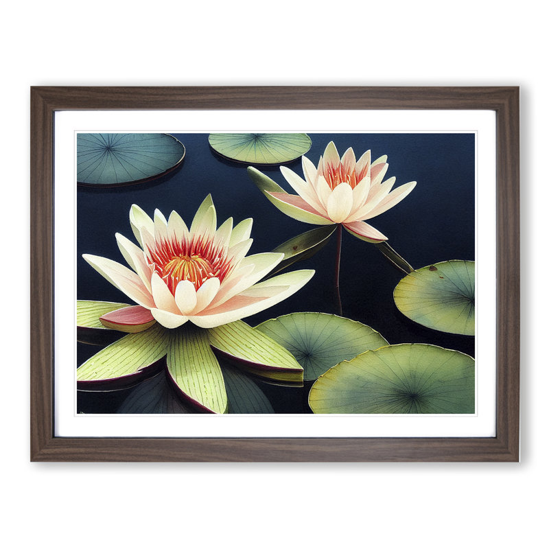 Compelling Water Lily Flowers - Framed Print, 25cm H x 34cm W x 2cm D, Walnut