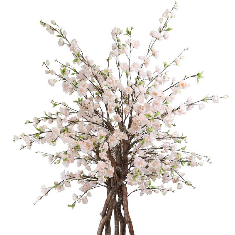 Cherry Blossom and Dragon Wood Tree in Rope Pot
