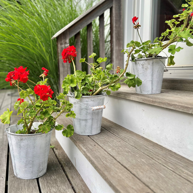 Ameia Metal Planter
