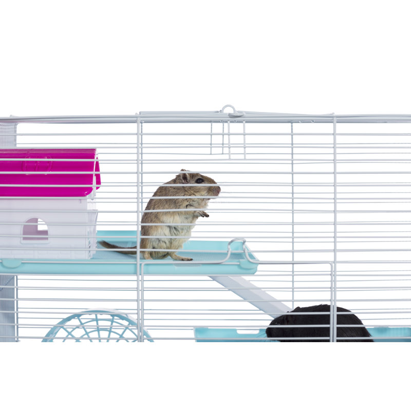 Cage avec rampe Claybourne, Bleu