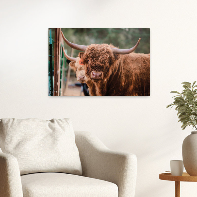 «The Bull», art contemporain abstrait, H 16 po x l 24 po