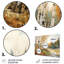 Ensemble d'art mural en bois Birch