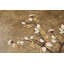Parterre Side Table