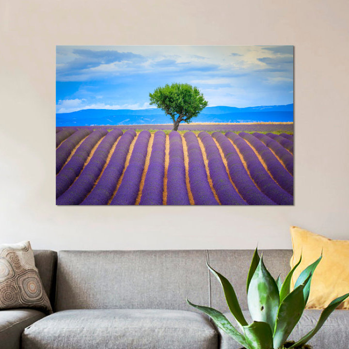 Jim Nilsen - Wrapped Canvas Print, 66.04 cm H x 45.72 cm W x 1.91 cm D