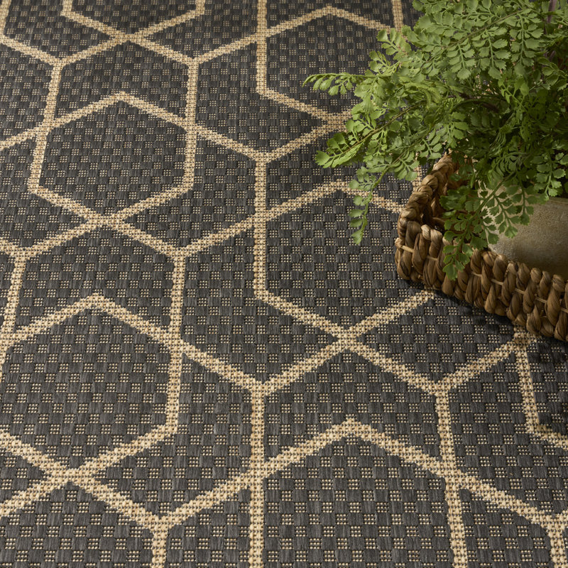 Reidy Modern Indoor/Outdoor Rug, Rectangle 6' x 9', Charcoal
