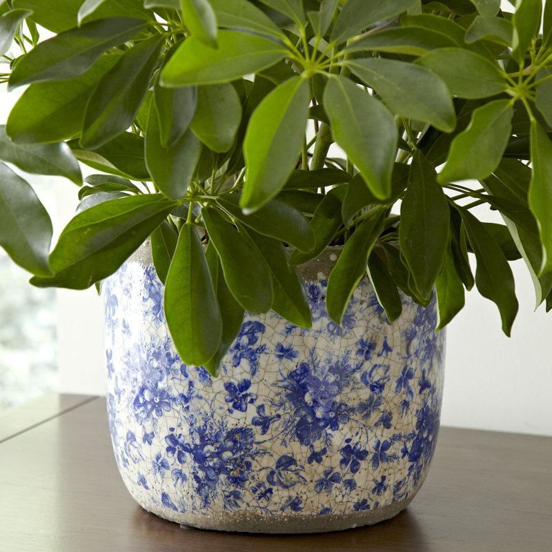 Handmade Terracotta Pot Planter