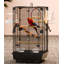 Cage à oiseaux 24,8 févbie