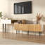 TV Stand for TVs up to 65"