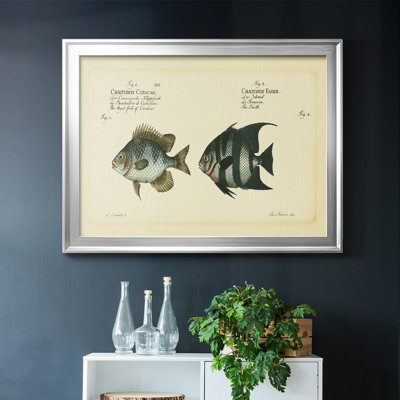 " Bloch Antique Fish II "