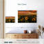 Champ de tournesols d'Alvord, Californie-107723925