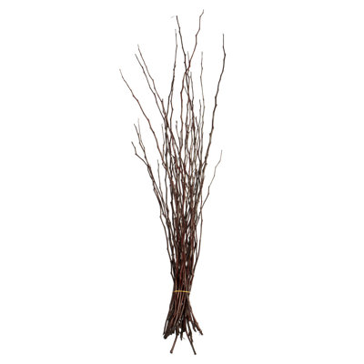 35'' Branch