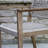 Fleur 6 - Person Wood Patio Dining Set with Rectangular Table