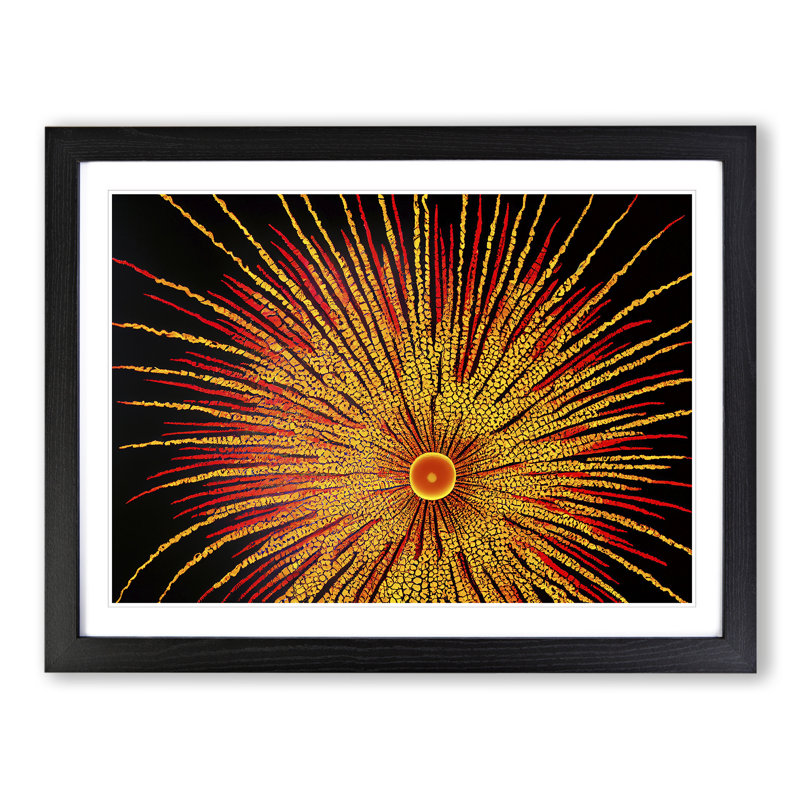 Intoxicating Fireworks - Framed Print, Black, 46cm H x 64cm W x 2cm D