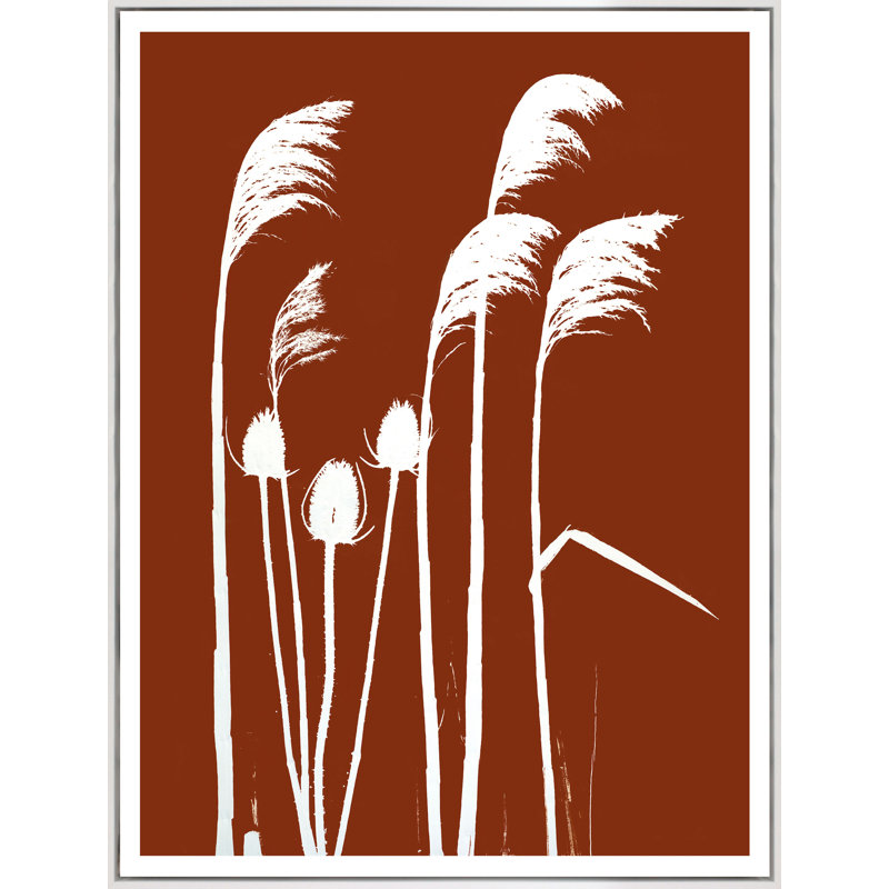 Pampass And Thistle Print, White Framed, 40" H x 29" W