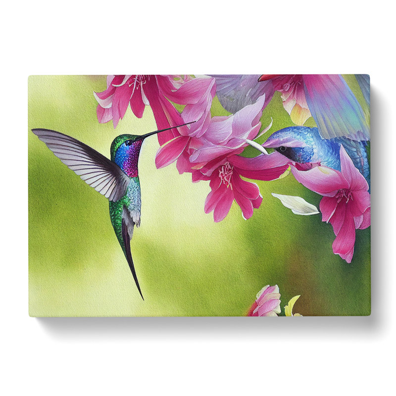 Hummingbird Watercolour Vol.1 - Wrapped Canvas, 35cm H x 50cm W x 3cm D