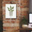 «Herb Garden VII» par Courtney Prahl, art mural sur toile-1918154846