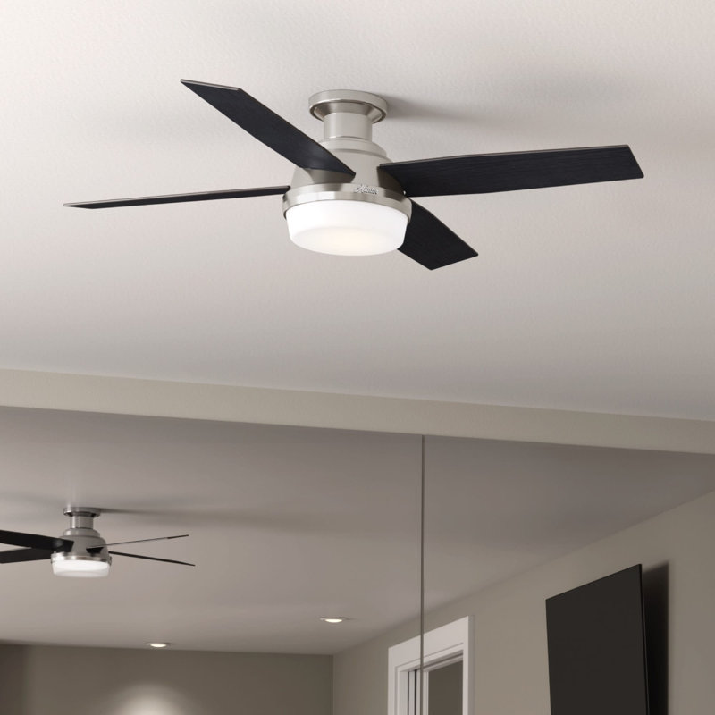 Ceiling Fan with LED Lights, Black/Chocolate Oak