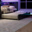 Wood Daybed With Trundle,Desk,LED Light And USB-881347372-881347374