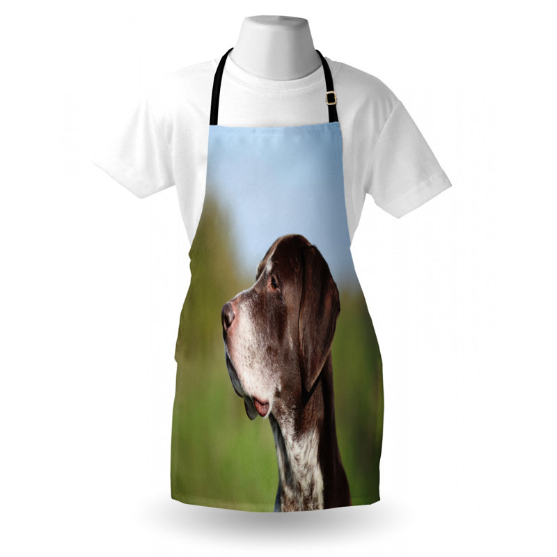 Bib Apron