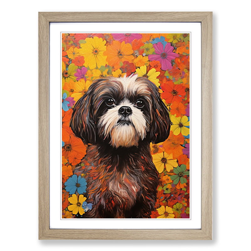 Shih Tzu Colour Field - Framed Print, Oak, 34cm H x 25cm W x 2cm D