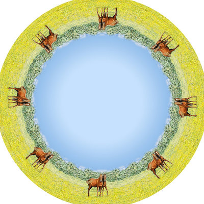 Nappe ronde Horse