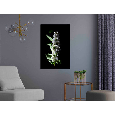 No Frame Print on Canvas