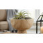 Bol en bois de style Paulownia-1325474841