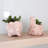 Lansen Handmade Pot Planter