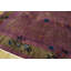 Tapis mauve antique en laine Art déco