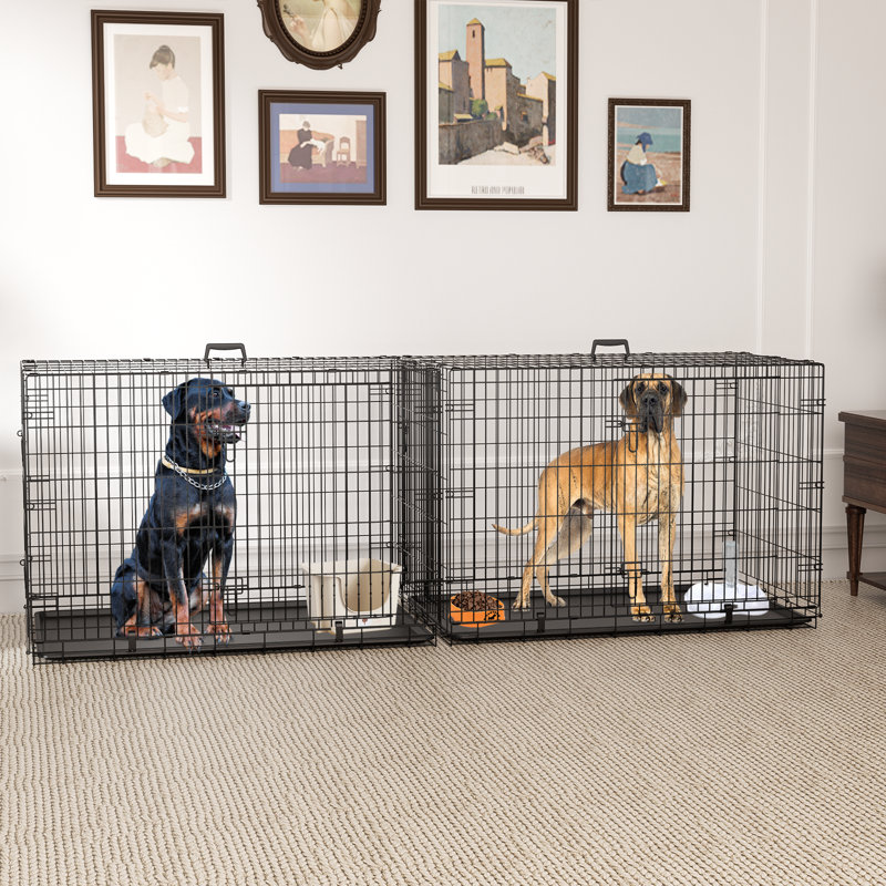 Cage pliante en métal pour chien, Très grand (H 33,5 po x l 48 po x P 30 po)