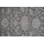 Oriental Area Rug in Light Green