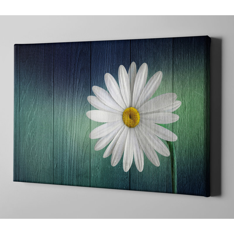 Une marguerite - Impression sur toile, H 12 po x l 18 po