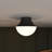 1-Light Matte Black Flush Mount Ceiling Light with Frosted Glass Shade