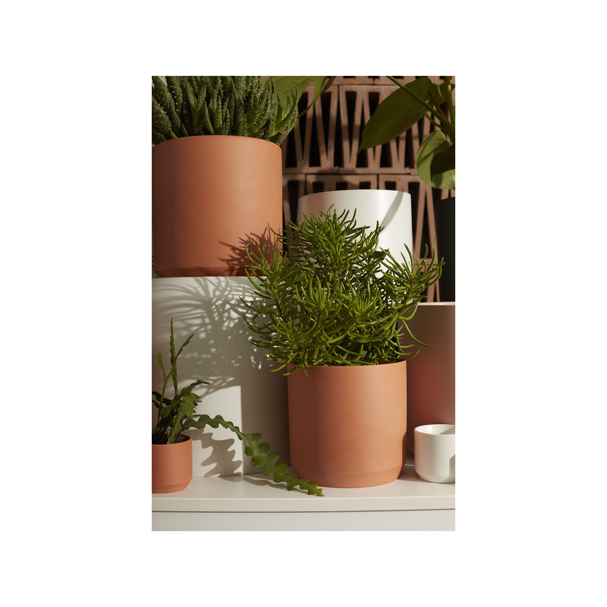 Parsons Handmade Ceramic Pot Planter, 6.75" H x 7" W x 7" D, Terracotta