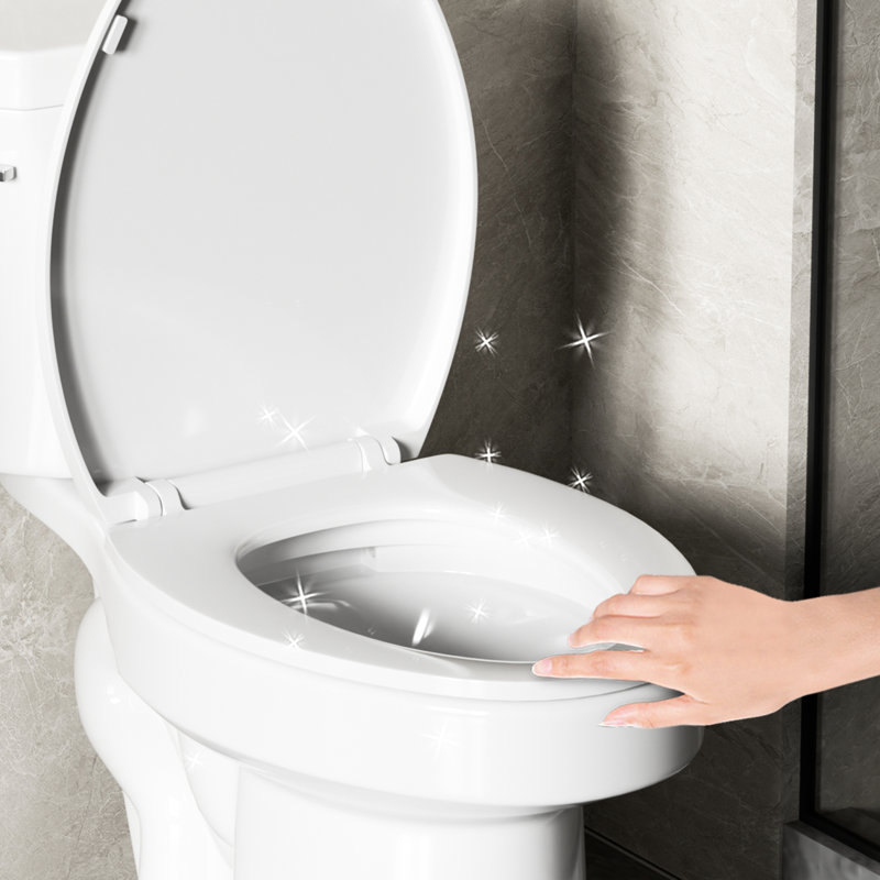 Toilette 4,8 Siphonic, 1,28, deux, chasse simple latérale,,, blanc brillant 004, accessoire de toilette deux avec et chasse, 004 pour salle de bain