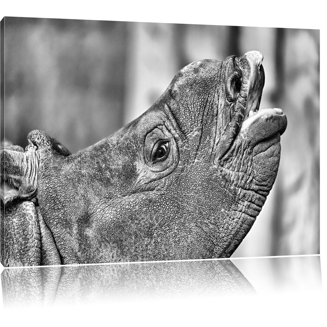 Leinwandbild Kleines Nashorn in Monochrom