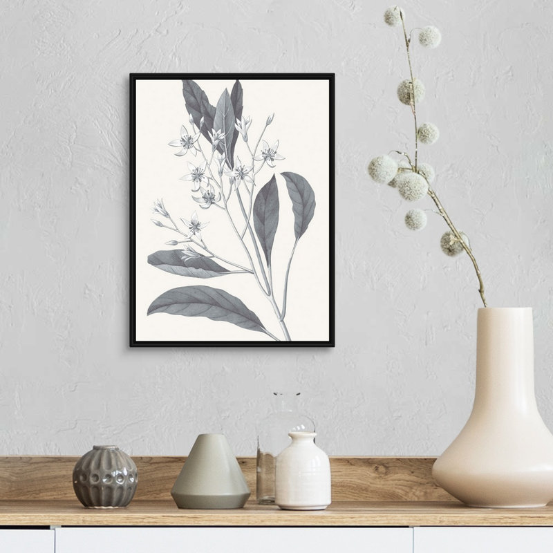 «Neutral Botanical V», art mural sur toile, Toile avec cadre noir, H 16 po x l 12 po x P 2 po