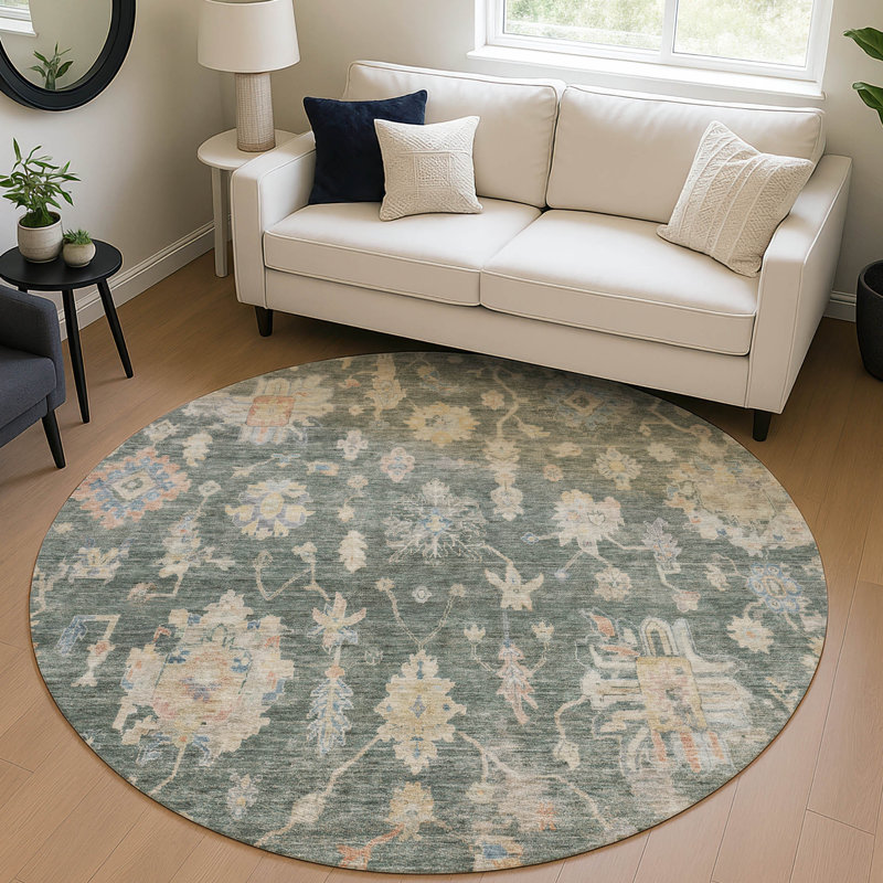 Machine Washable Indoor/Outdoor Francky ACN2355 Traditional Rug, Round 8'