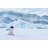 Gentoo Penguin Walking in Snow in Antarctica by Elmvilla-297029203