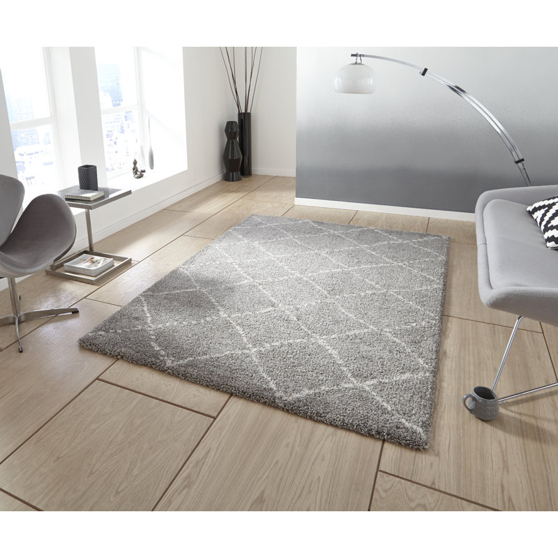 Royal Nomadic area rug Machine Woven Rectangle Grey, Rectangle 120 x 170cm
