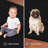 Modern Plush Pet and Kids Friendly Solid Color Area Rugs, Stain & Fade Resistance, Bedroom, Playroom and Kidsroom, Event, Wedding, Perfect for Living Room, Dining Room, Black Rug-1901932320
