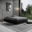 Castorena Lucabella Platform Bed   -128904370-128904374