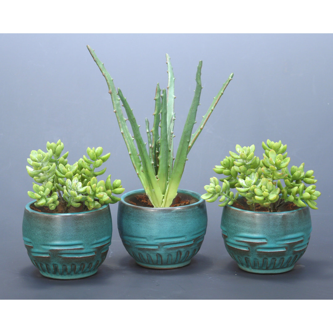 5'' Faux Succulent Plant in Earthenware Pot Distinctive Designs