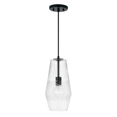 Single Light Glass Dimmable Pendant