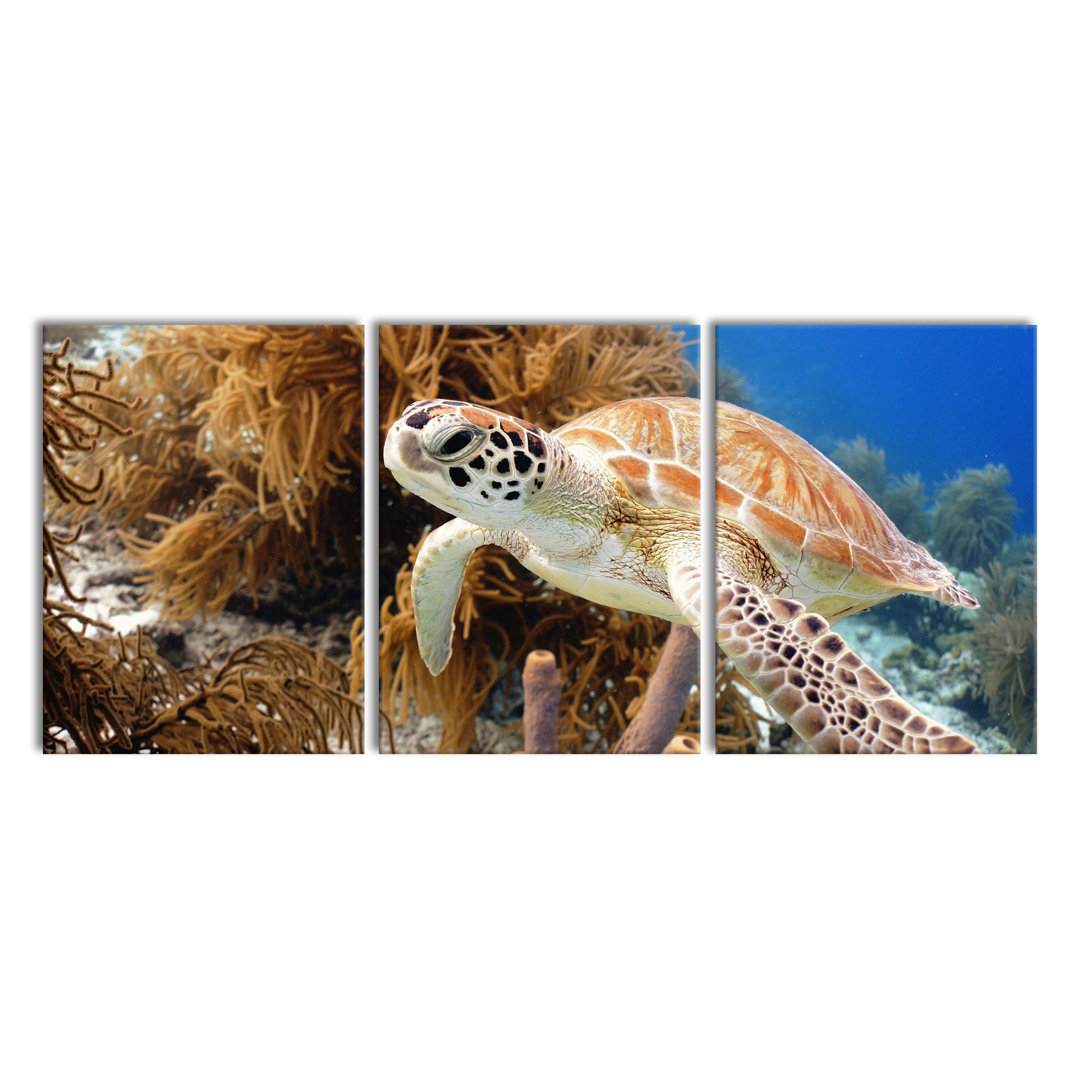 'Sea Turtle' Multi-Piece Image on Canvas